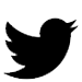 twitter icon
